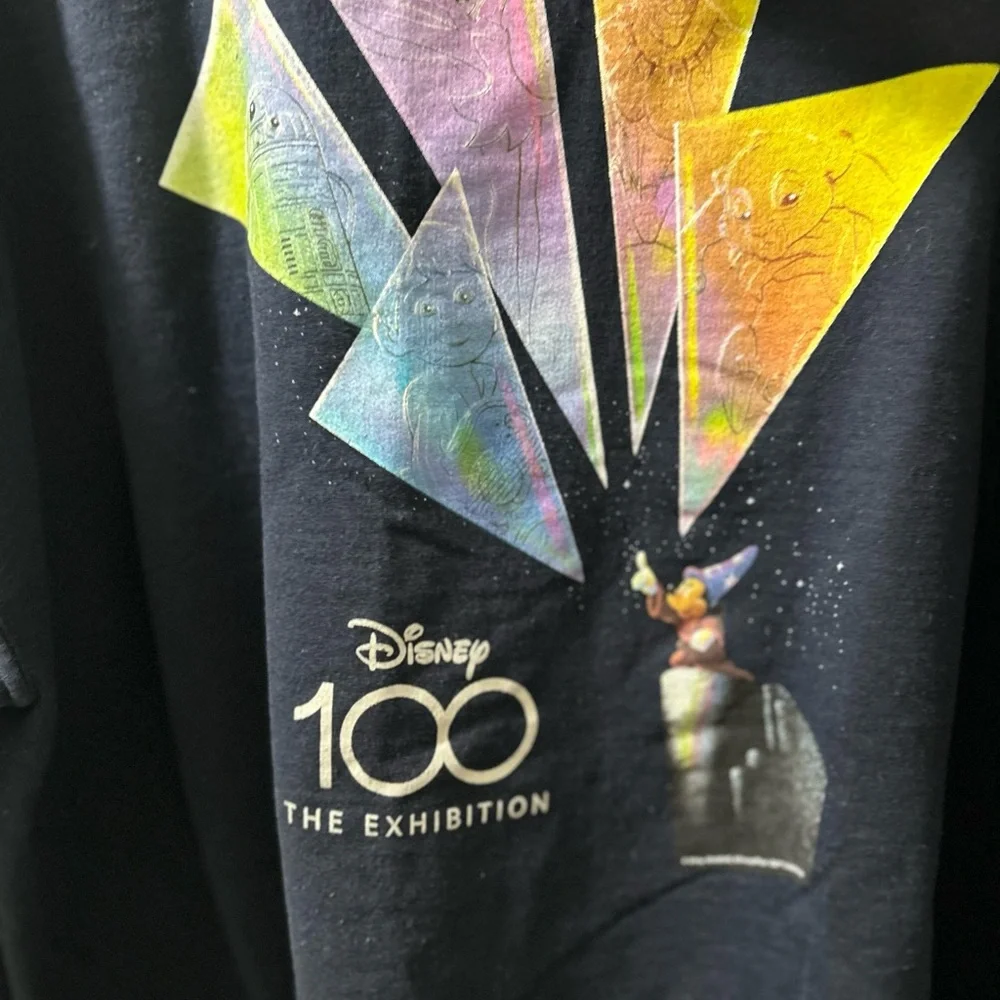 Disney Dark Blue 100 Exibition Hoodie - Picture 3 of 9